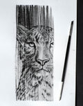 Drawing #2 Dusta