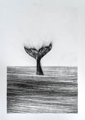 Drawing #3 Dusta