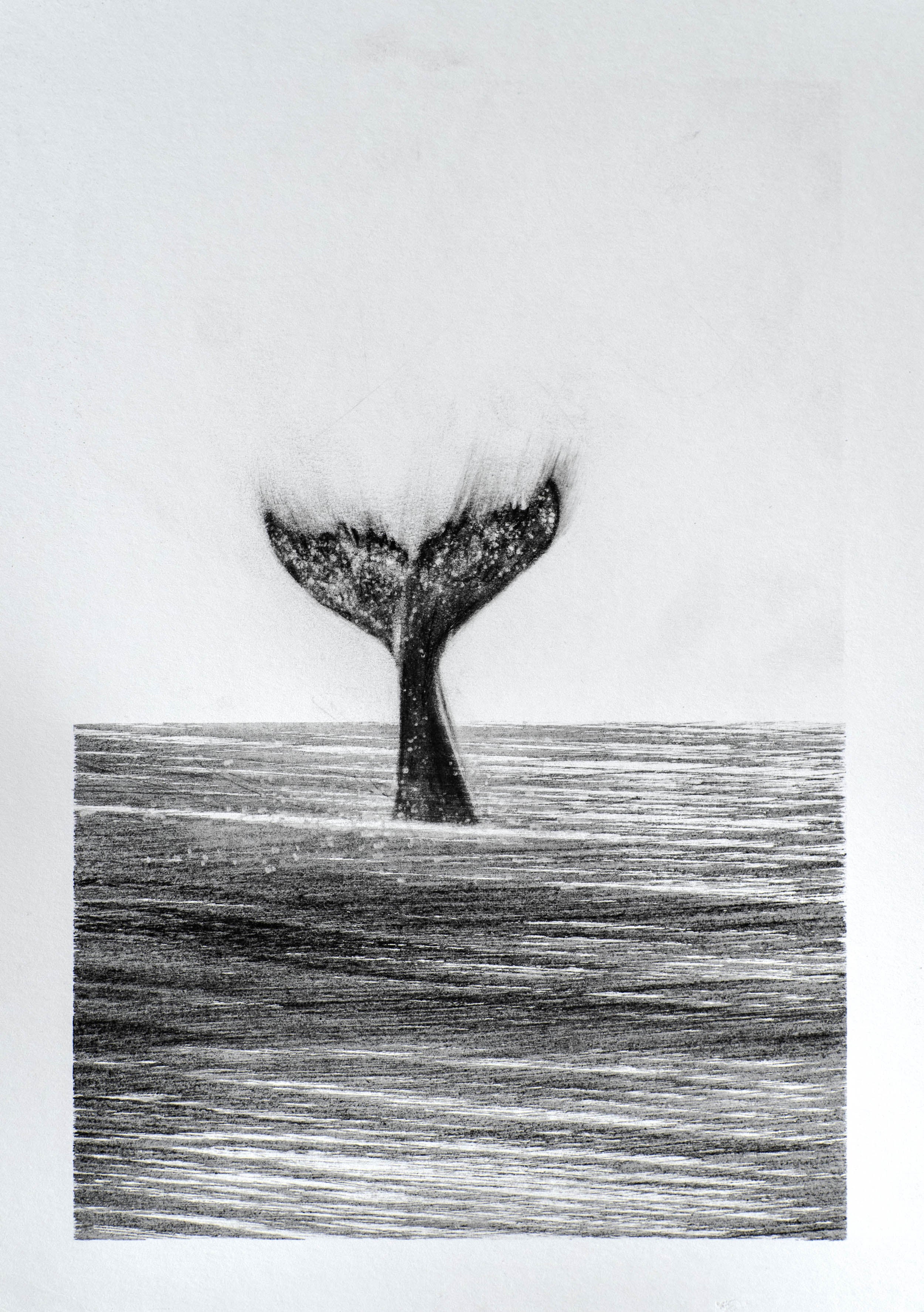 Drawing #3 Dusta